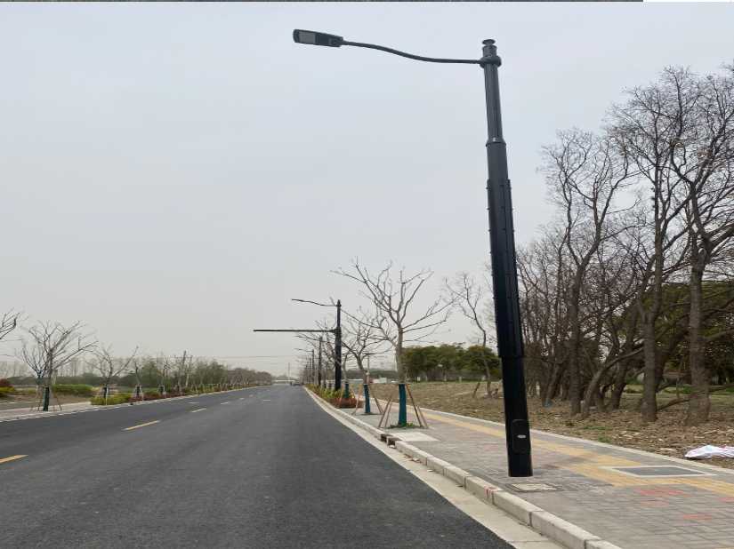 田东县上海综合杆 太阳能路灯工程
